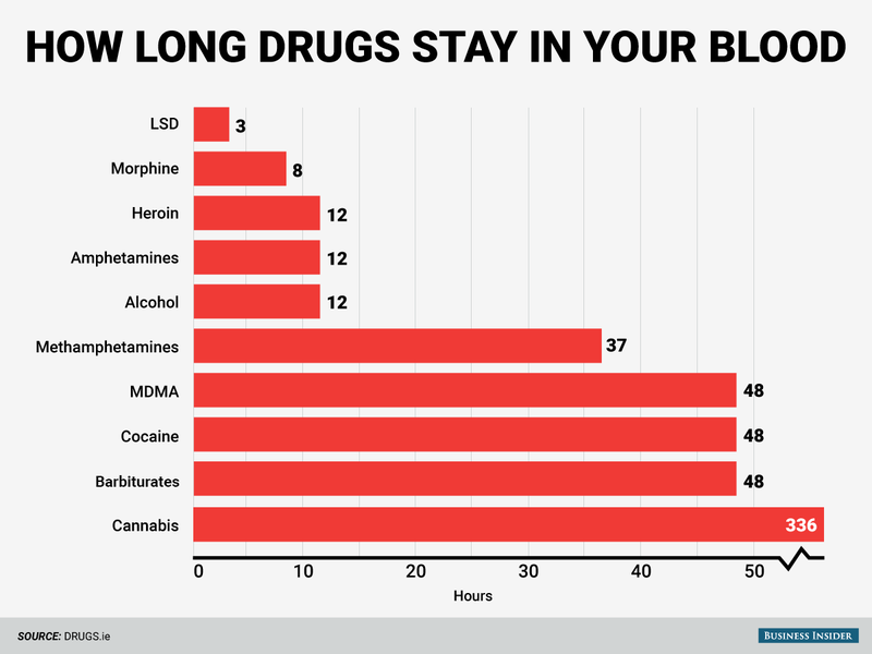Drogas como el LSD, la morfina, la heroĂna, las anfetaminas y el alcohol permanecen en la sangre menos de 12 horas